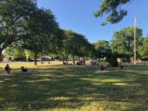 37604936_10156009259771234_2938782134782918656_n